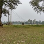 2024-10 - Népal - J11 - Parc National de Chitwan - 128